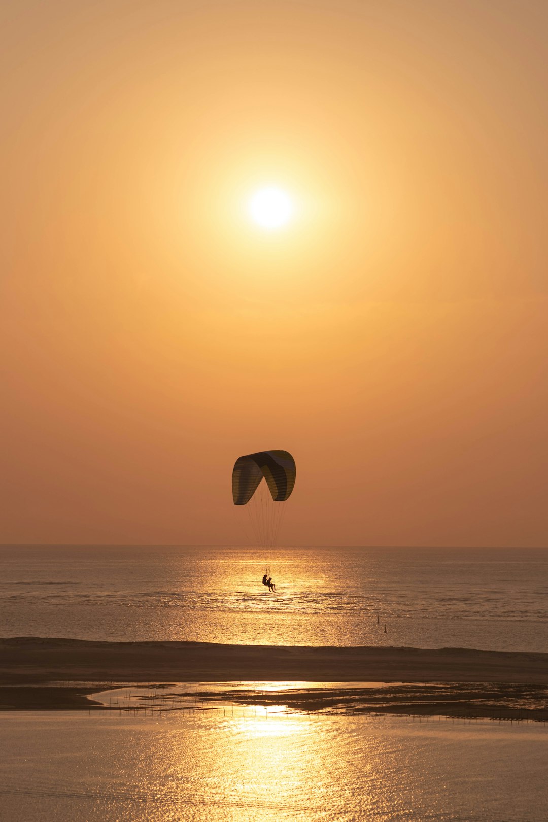 Photo by Maxime Cros A couple of birds flying over a body of water
